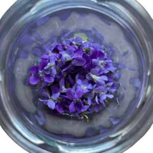 Anti-Aging Pflege – Workshop für Erwachsene