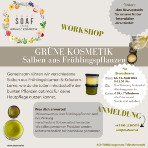 Grüner Kosmetik Workshop | Salben